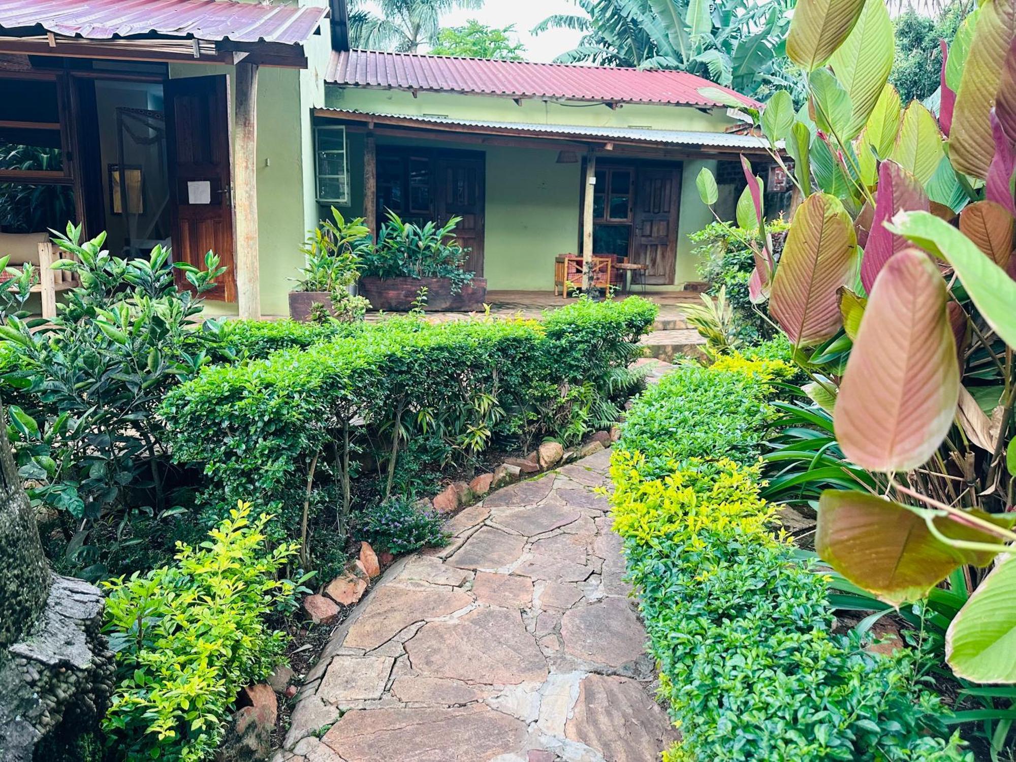 Afro Smile Hotel & Guest House ジンジャ エクステリア 写真