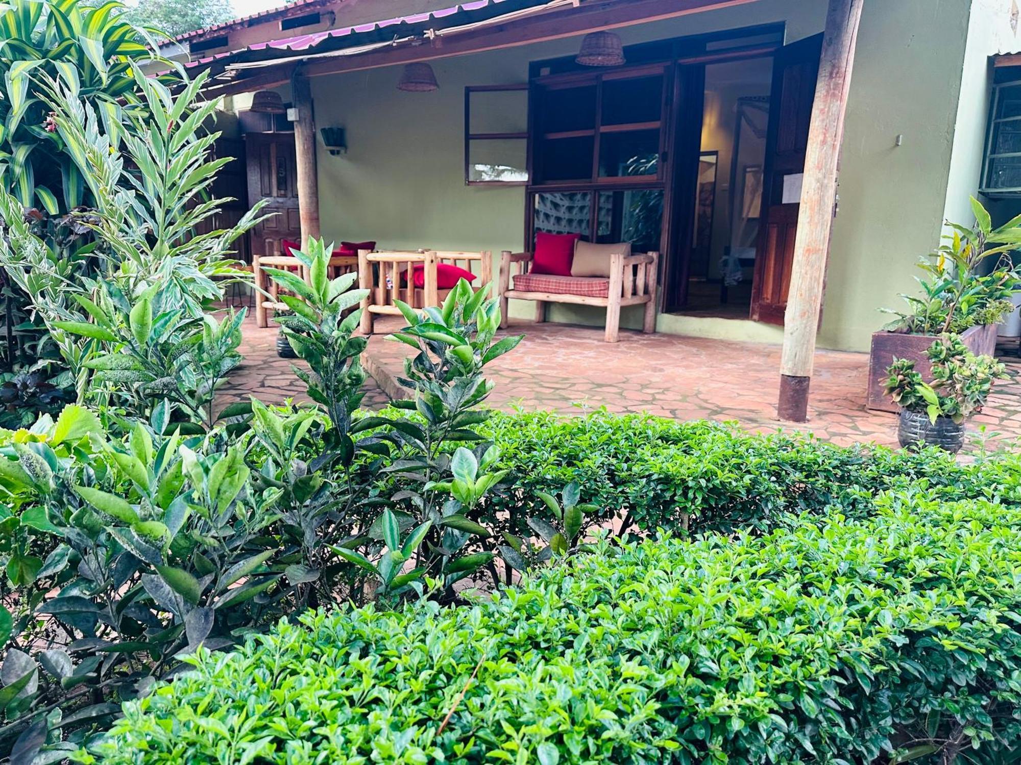 Afro Smile Hotel & Guest House ジンジャ エクステリア 写真